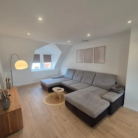 Appartement Lumineux Et Spatieux Marlenheim
